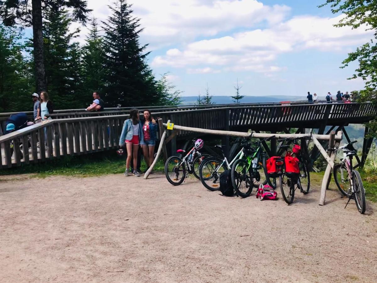 Haus Jenni Im Schwarzwald, 3,5-Zimmer, Grosse Terrasse Freudenstadt Exterior foto